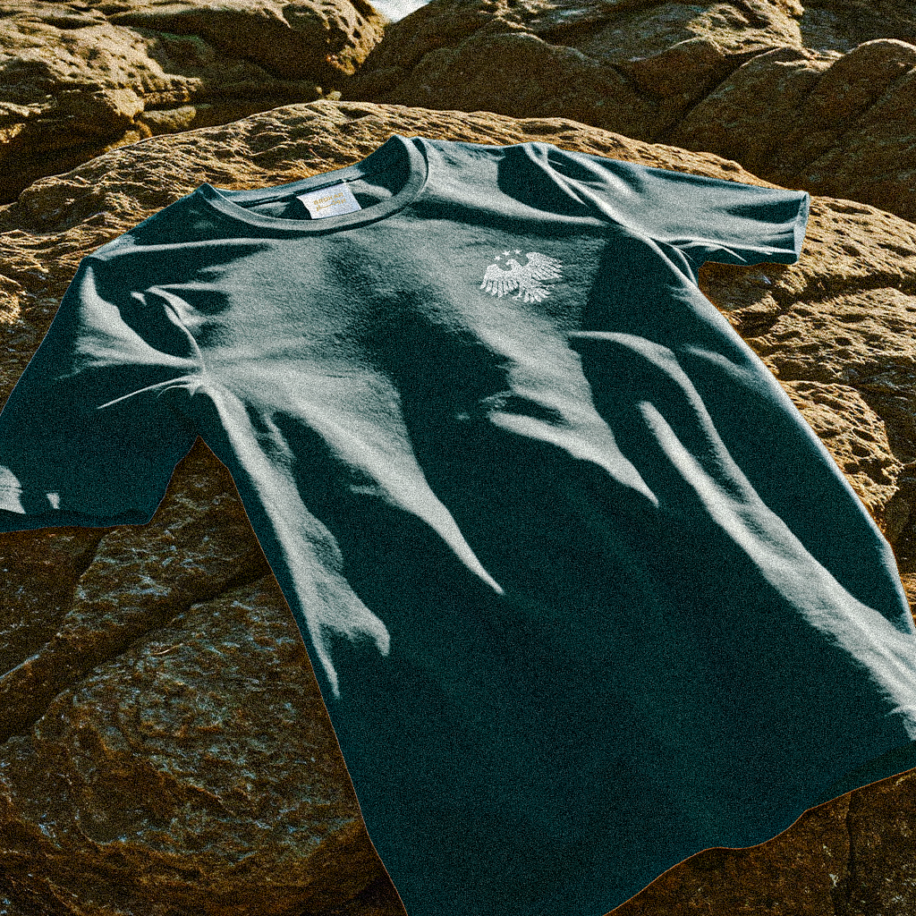 Syrian Heritage Tee – New National Logo Edition تيشيرت الهوية السورية – إصدار الشعار الوطني الجديد